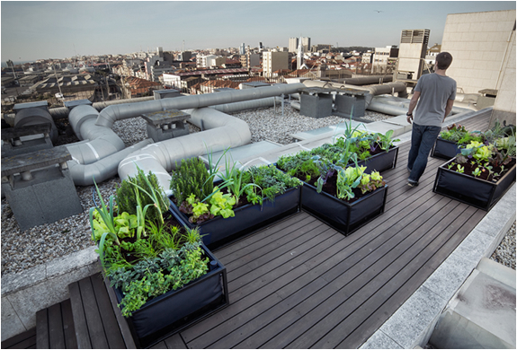 noocity-growbed-2.jpg | Image
