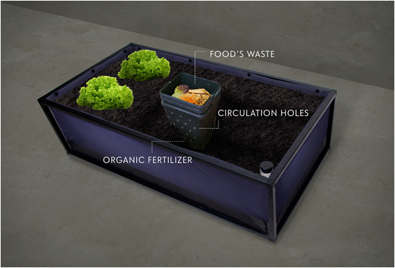 noocity-growbed-8.jpg
