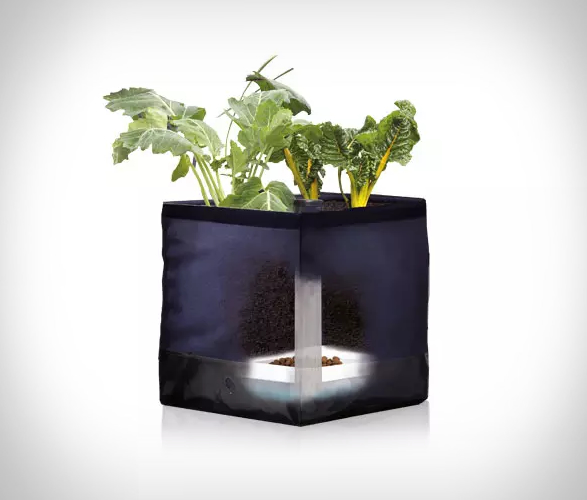 noocity-growkit-2.jpg | Image