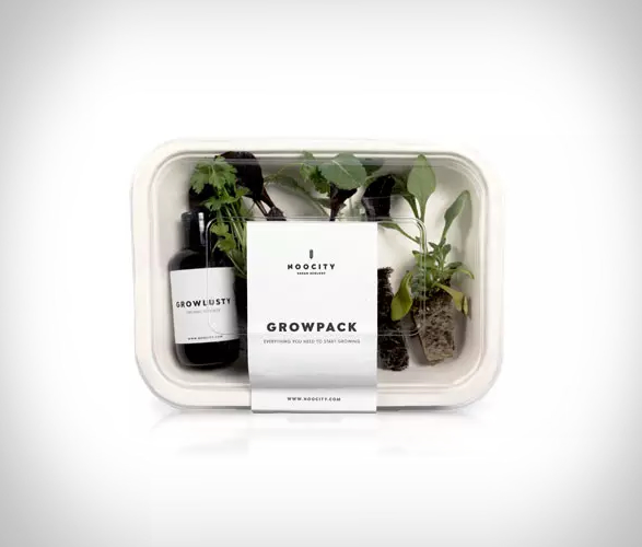 noocity-growkit-3.jpg | Image