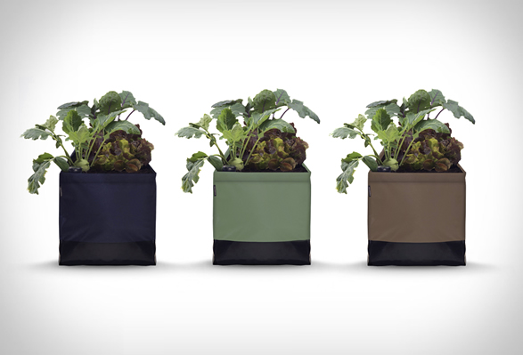 noocity-growkit-5.jpg | Image