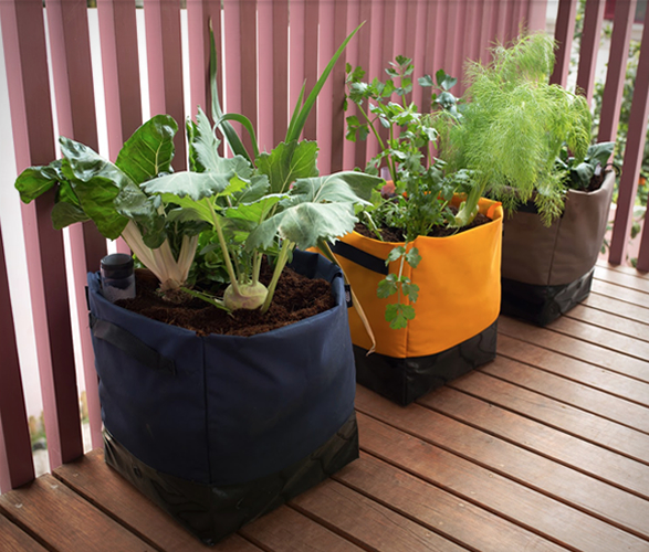 noocity-growkit-7.jpg