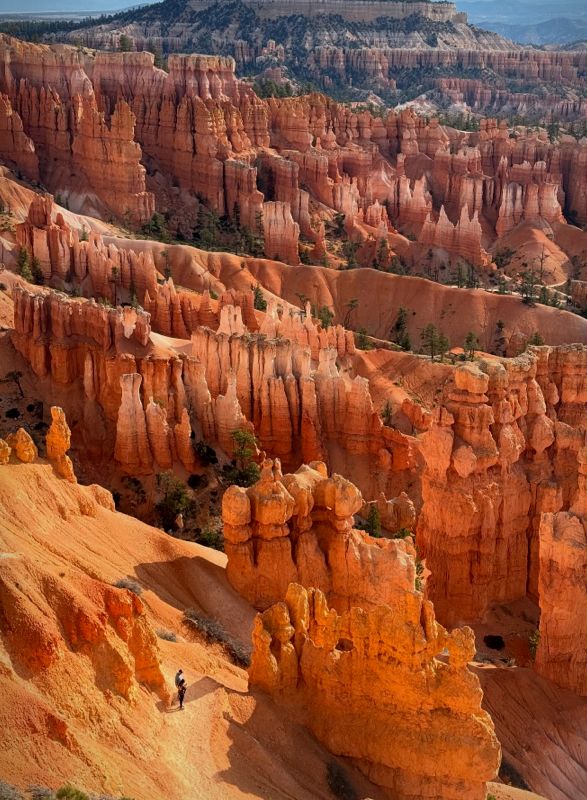 ofland-escalante-glamping-19.jpg | Image