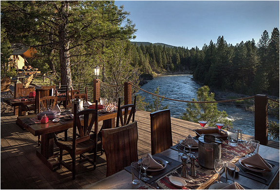 paws-up-resort-10.jpg