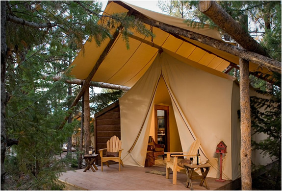 paws-up-resort-11.jpg