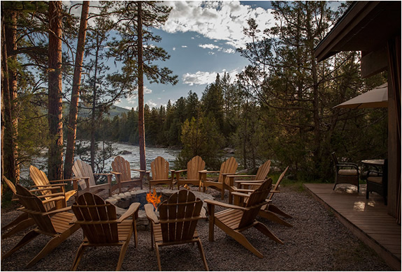 paws-up-resort-16.jpg