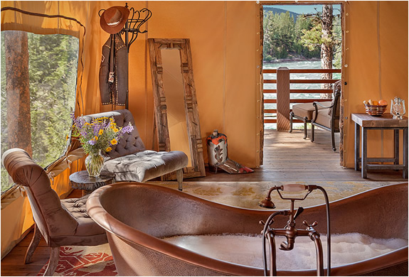 paws-up-resort-17.jpg