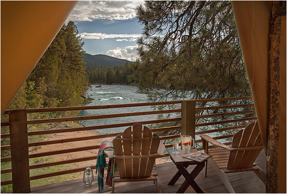 paws-up-resort-7.jpg