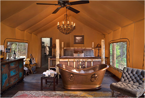 paws-up-resort-8.jpg