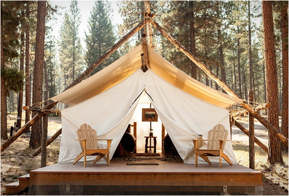 paws-up-resort.jpg | Image