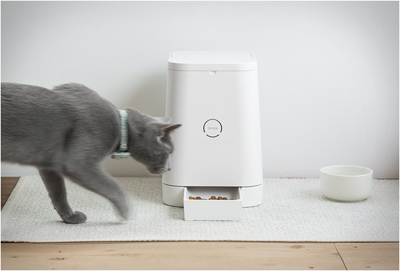 petly-automatic-pet-feeder-2.jpg | Image