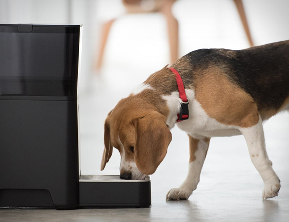 petnet-smartfeeder-5.jpg | Image