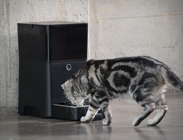 petnet-smartfeeder-6.jpg