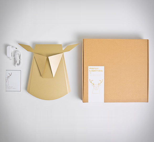 popup-lighting-9.jpg