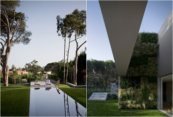 quinta-patino-frederico-valsassina-3.jpg | Image