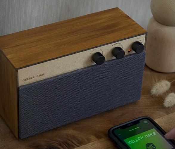 r3-diy-bluetooth-speaker-6.jpg
