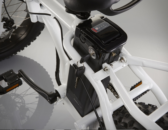 radmini-electric-fat-bike-5.jpg | Image