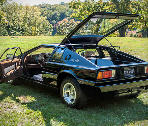 rally-rd-5.jpg | Image