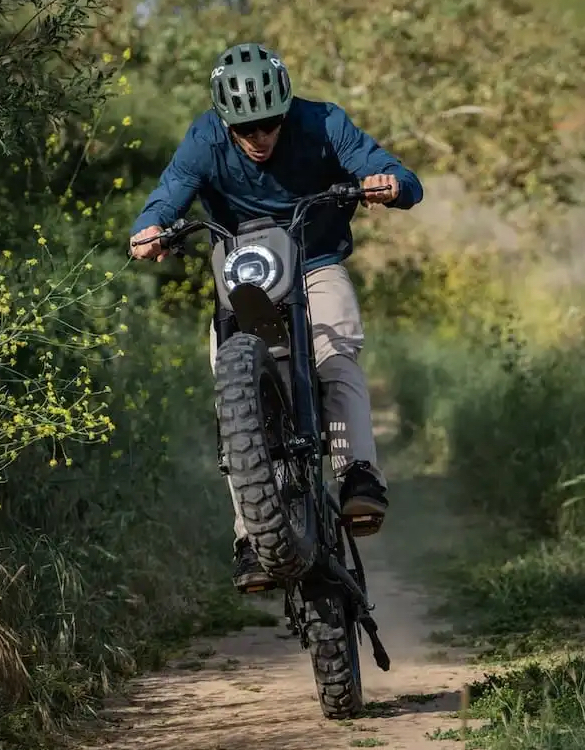 revv-1-drt-ebike-7.jpeg