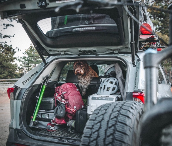 rhonda-toyota-rav4-adventure-12.jpg