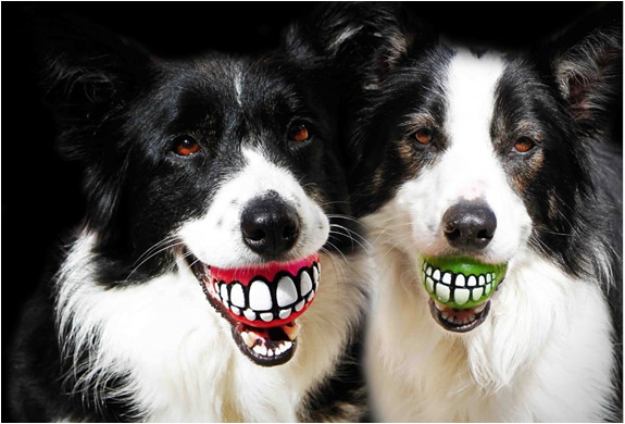 rog-grinz-ball-dog-toy-2.jpg | Image