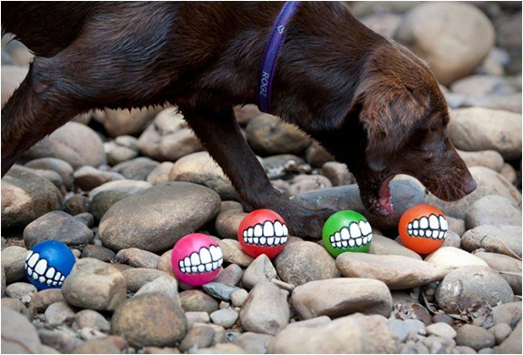 rog-grinz-ball-dog-toy-3.jpg | Image