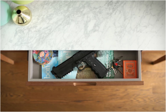 salt-self-defense-gun-5.jpg | Image