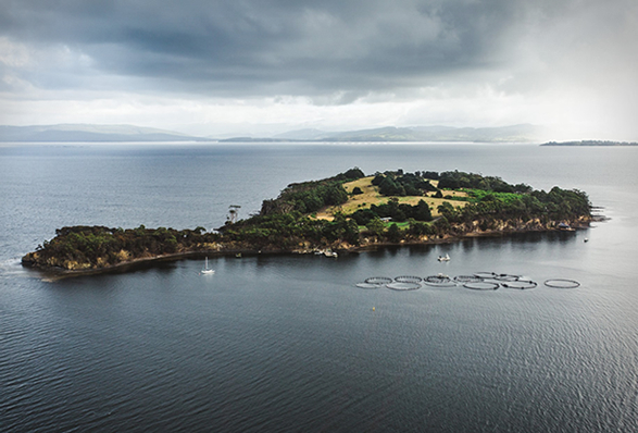satellite-island-17.jpg