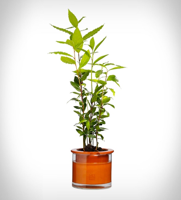 self-watering-pots-3.jpg | Image