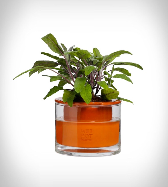 self-watering-pots-4.jpg | Image