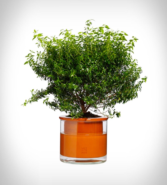 self-watering-pots-5.jpg | Image