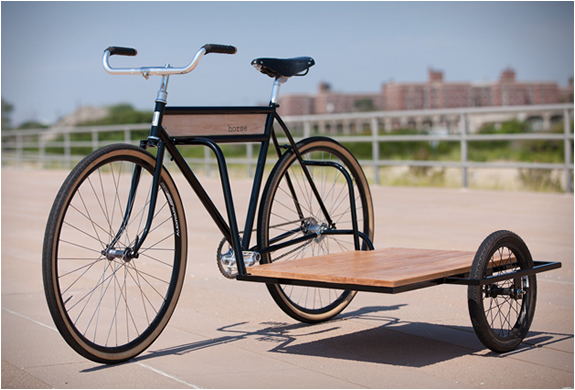 sidecar-bicycle-7.jpg