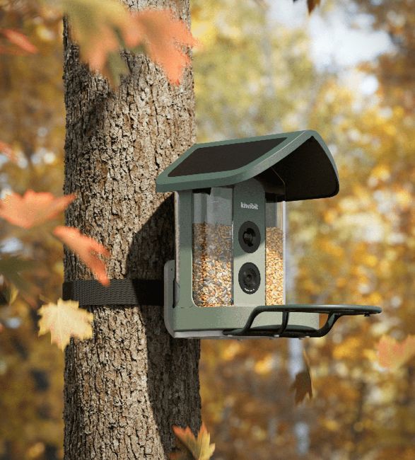 smart-bird-feeder-3.jpg | Image