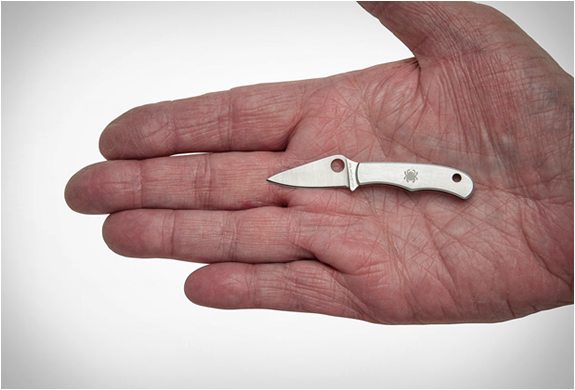 spyderco-bug-knife-2.jpg | Image