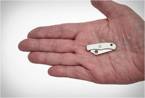 spyderco-bug-knife-3.jpg | Image