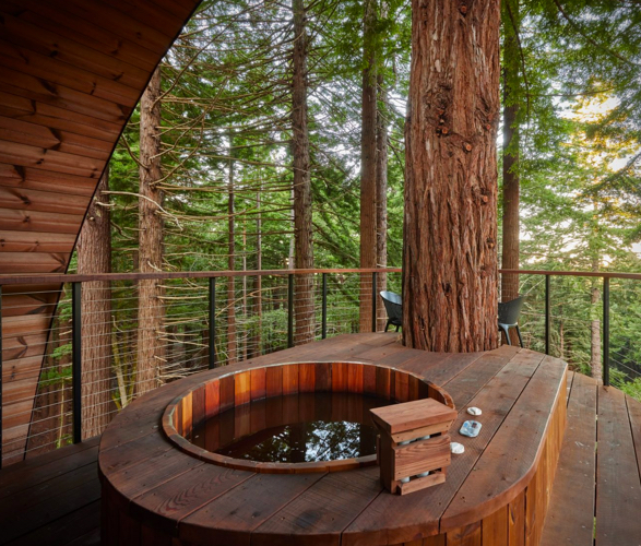 spyglass-treehouse-4.jpg | Image