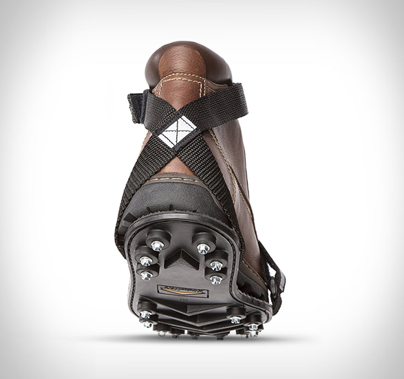 stabilicers-maxx-3.jpg | Image