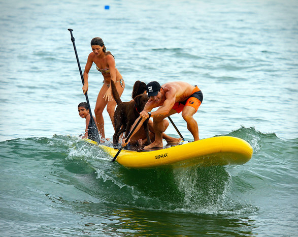 supflex-bigsup-4.jpg | Image