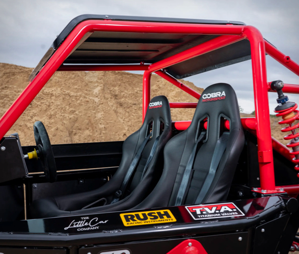 tamiya-wild-one-max-off-road-buggy-7.jpeg