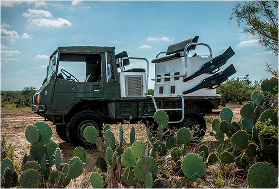 texas-quail-rigs-2.jpg | Image