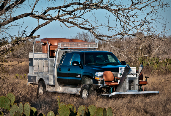 texas-quail-rigs-4.jpg | Image