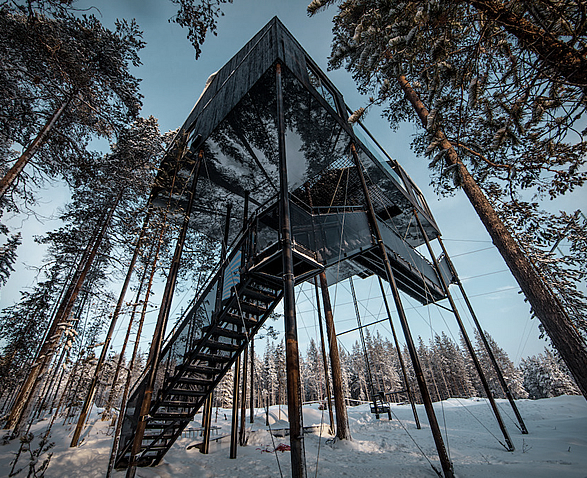 the-7th-room-treehouse-10.jpg