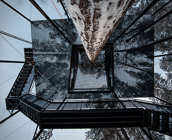 the-7th-room-treehouse-4.jpg | Image