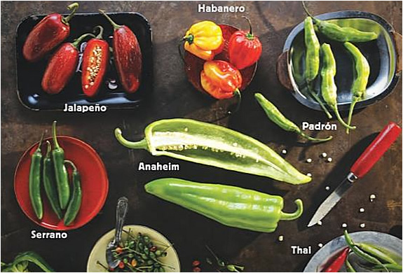the-hot-sauce-cookbook-4.jpg | Image