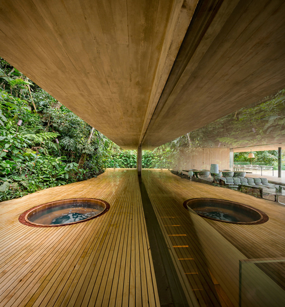 the-rainforest-house-17.jpg