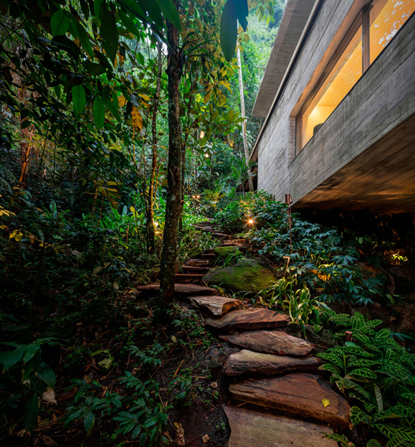 the-rainforest-house-18.jpg