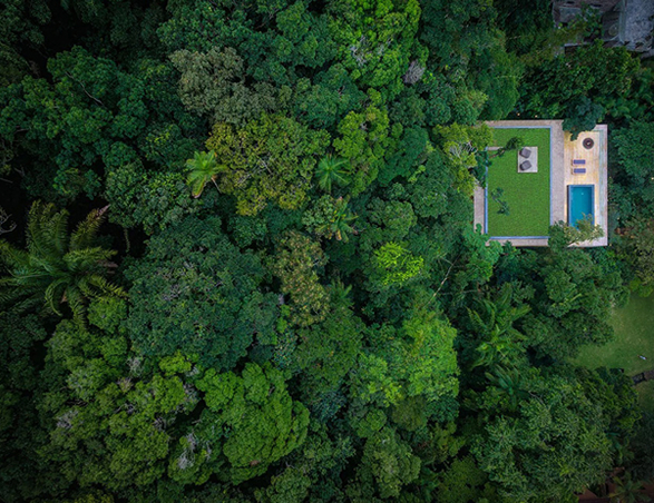 the-rainforest-house-20.jpg