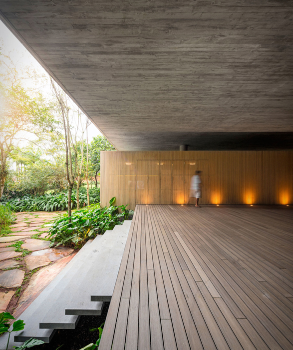the-rainforest-house-4.jpg | Image
