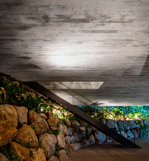 the-rainforest-house-5.jpg | Image