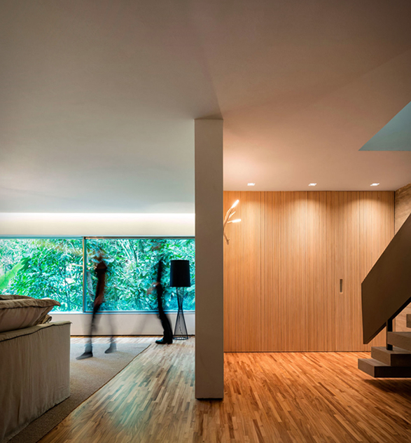 the-rainforest-house-7.jpg